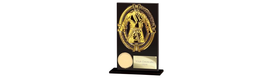 FUSION MAVERICK MARTIAL ARTS GLASS TROPHY - 5 SIZES - 12.5CM - 20CM FUSION MAVERICK MARTIAL ARTS GLASS TROPHY - 5 SIZES - 12.5CM - 20CM